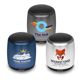 Mini speaker